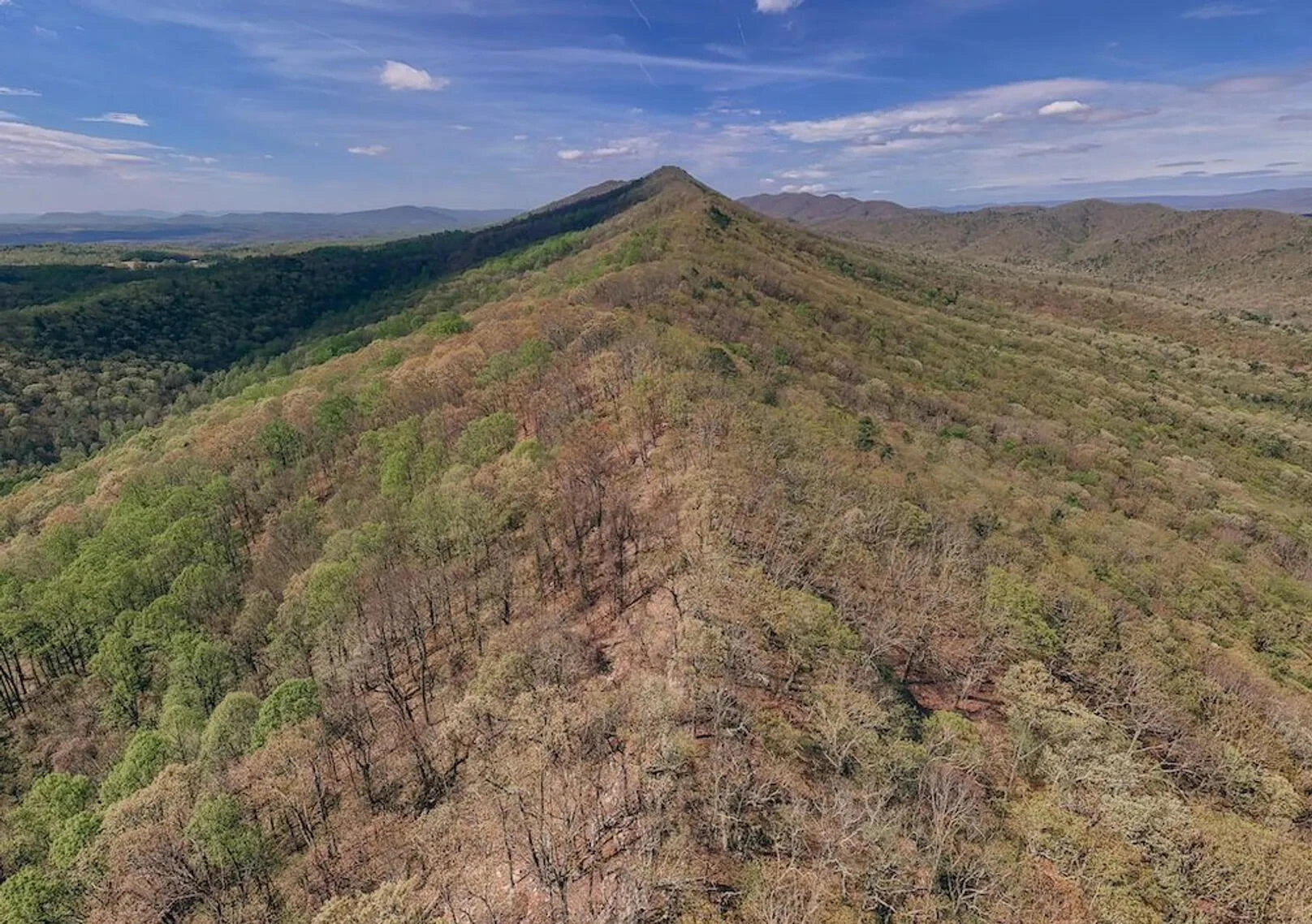 0 Sugar Tree Hollow Rd - Photo 3