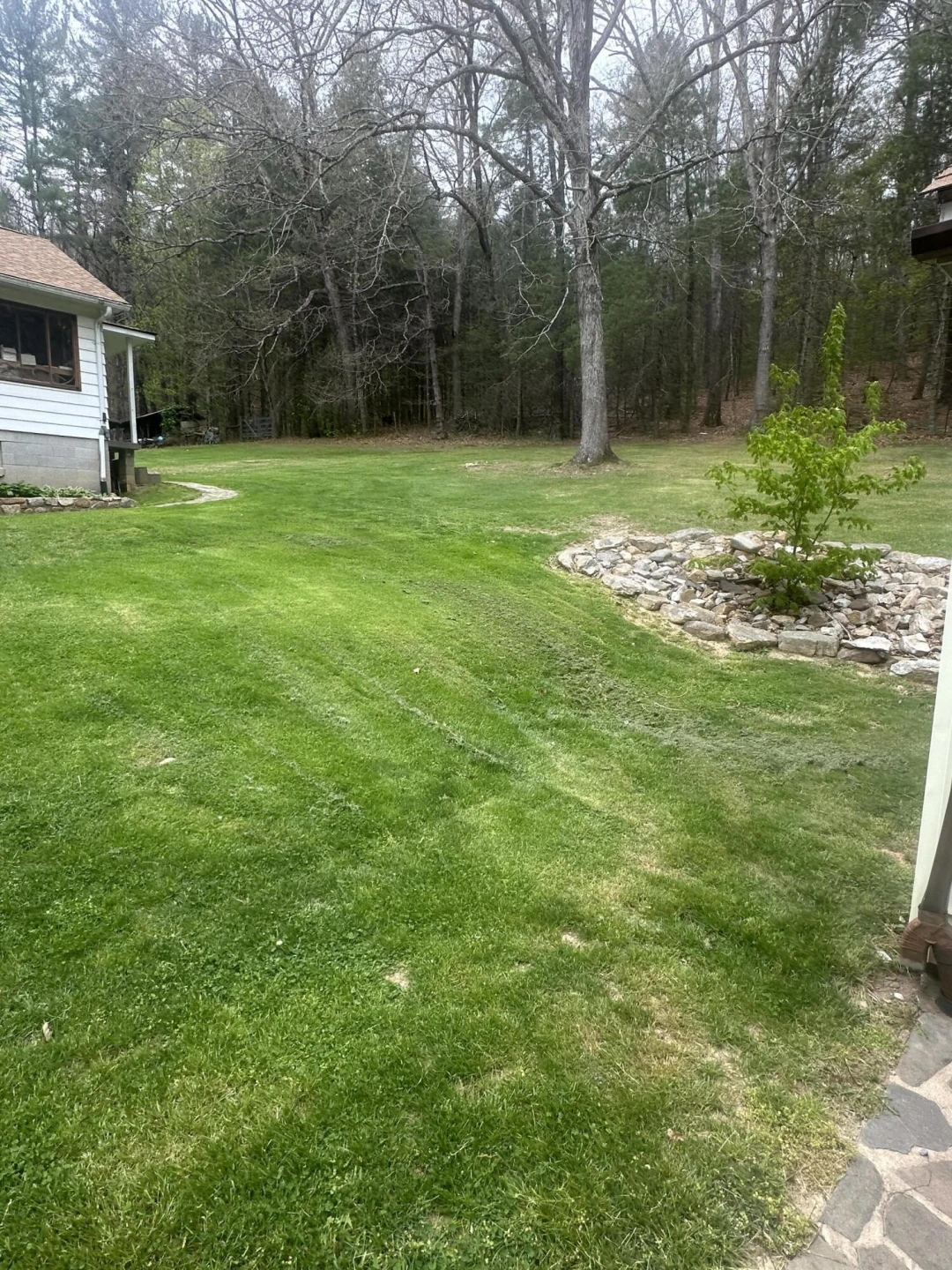 204 Boone Rd - Photo 8