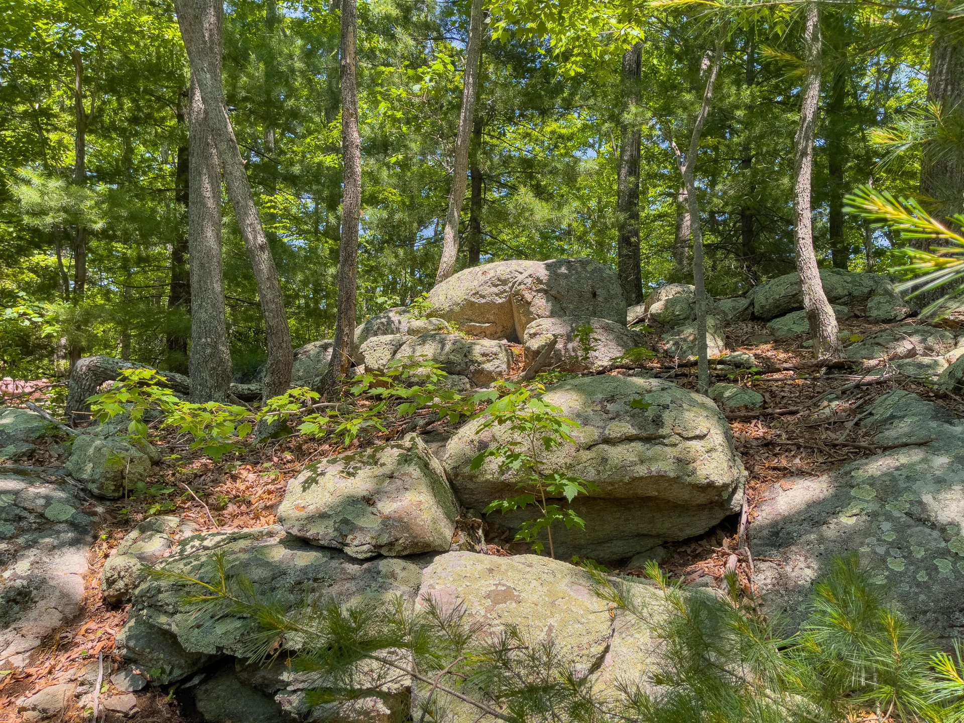 151 Stoneybrook Rd - Photo 91