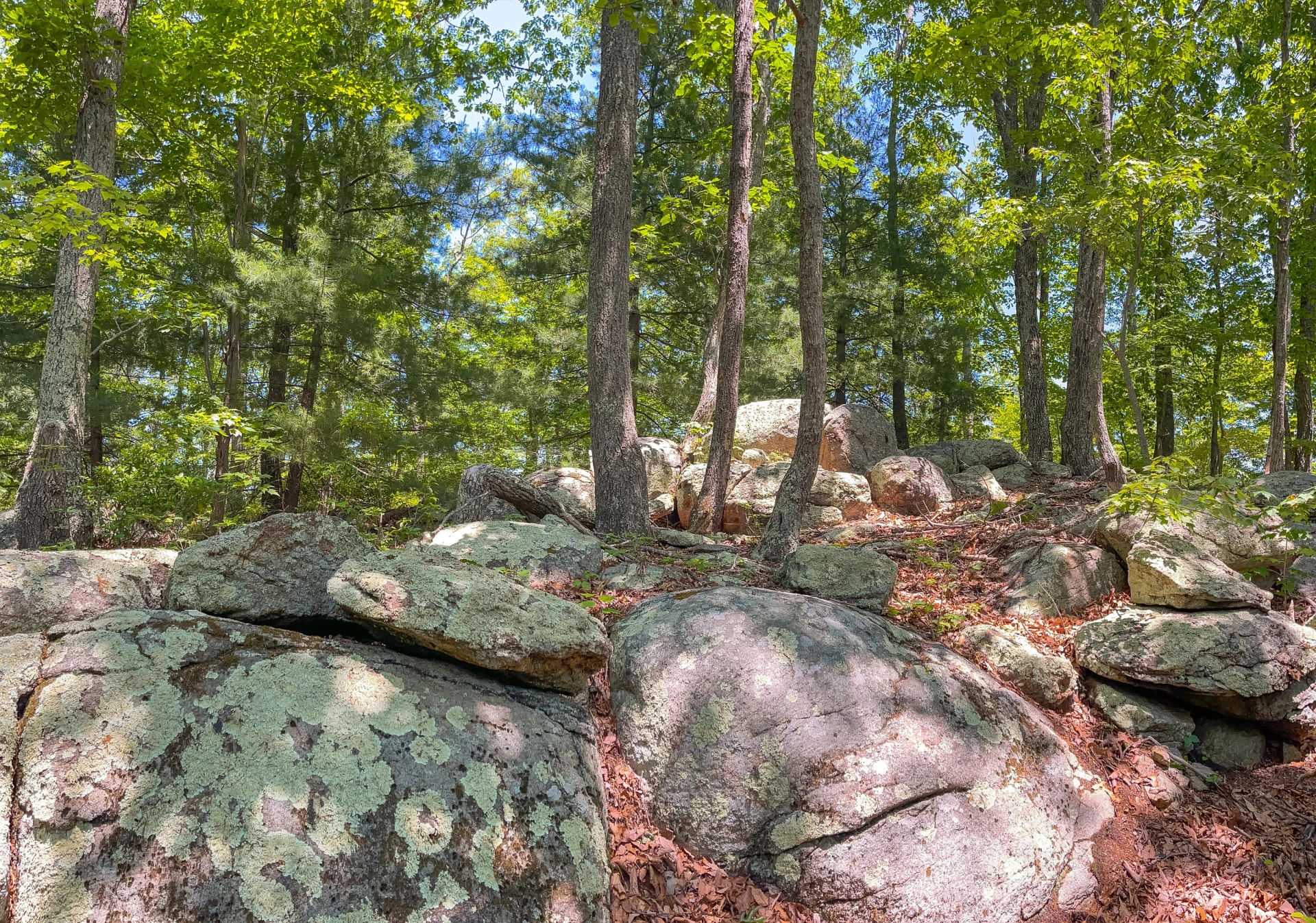 151 Stoneybrook Rd - Photo 92