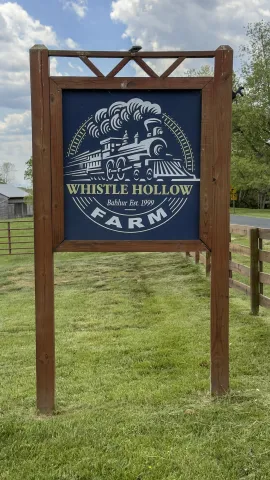 65 & 190 Whistle Hollow Ln, Fairfield, VA, 24435