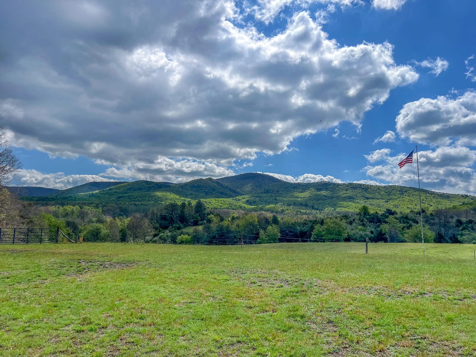 694 Rockbridge Alum Springs Rd - Photo 12