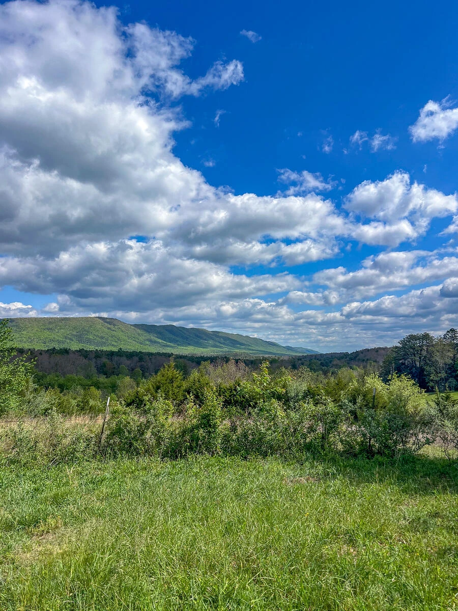 694 Rockbridge Alum Springs Rd - Photo 13