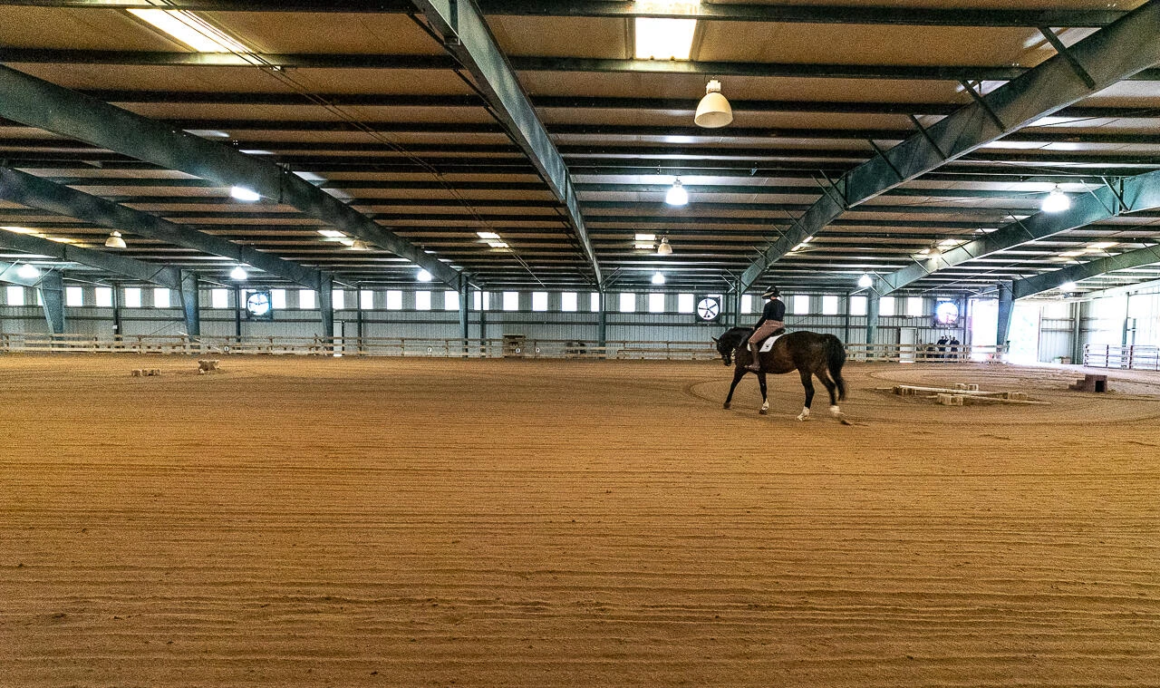 100 Equus Lp - Photo 10