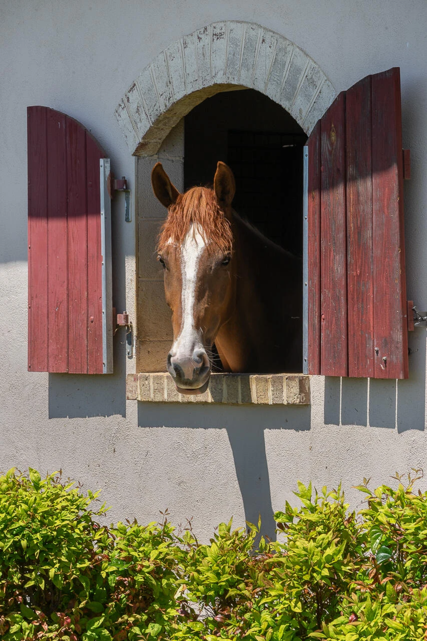 100 Equus Lp - Photo 13