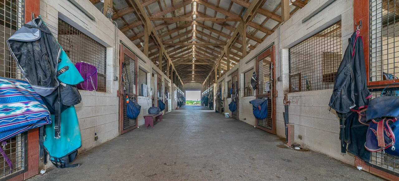 100 Equus Lp - Photo 16