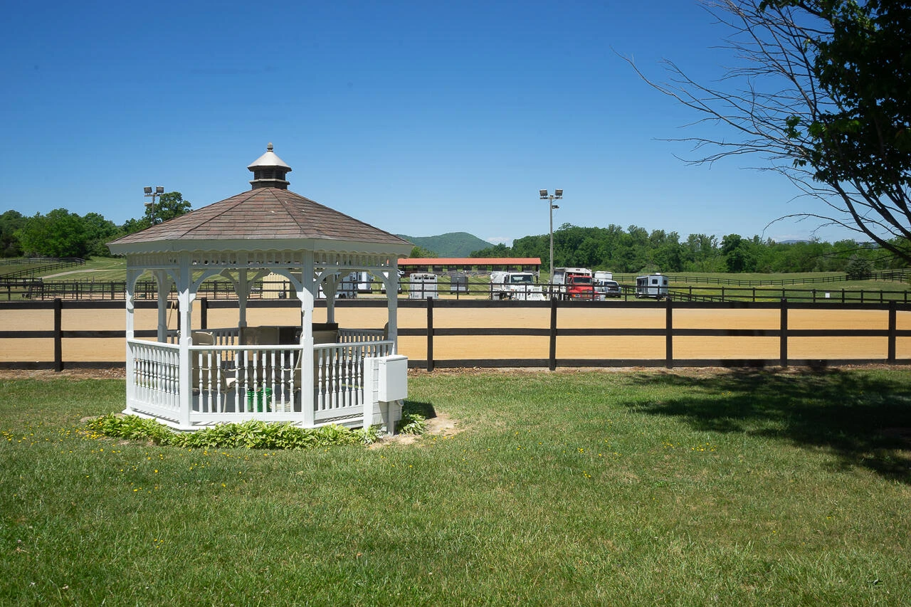 100 Equus Lp - Photo 30