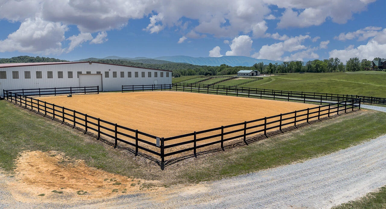 100 Equus Lp - Photo 4