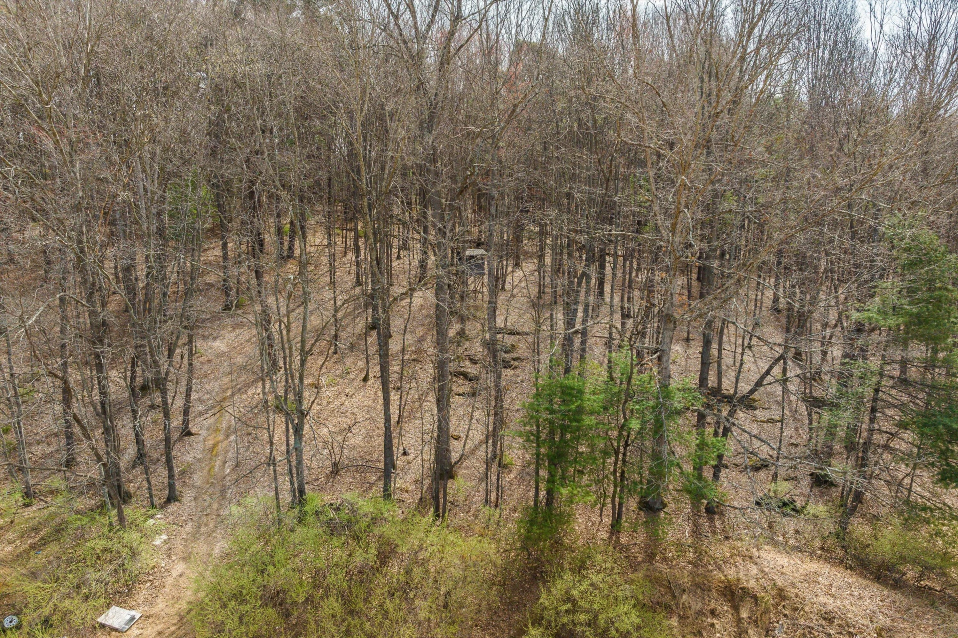 259 Taliaferro Dr - Photo 51