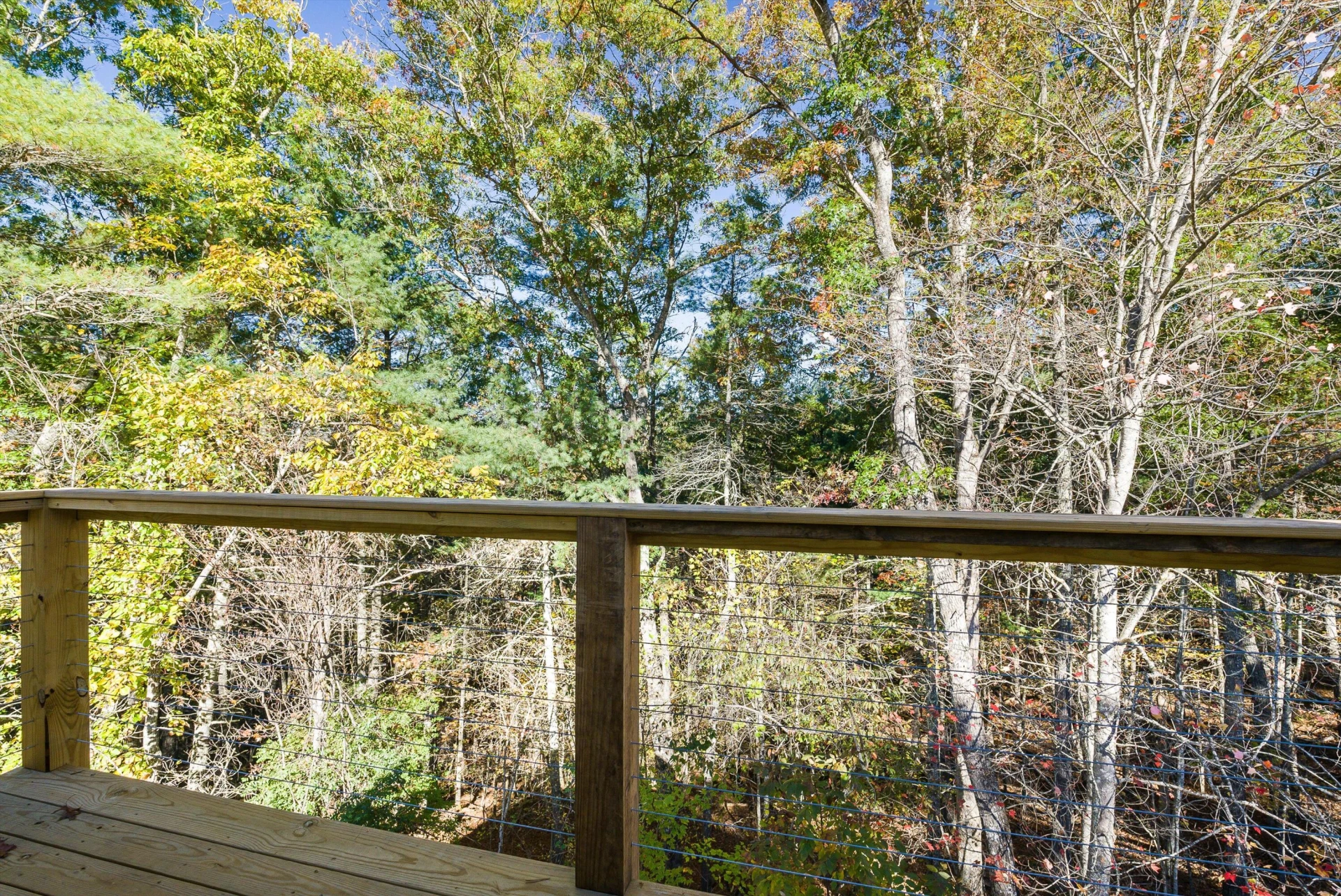 65 Mountain Deer Run - Photo 36