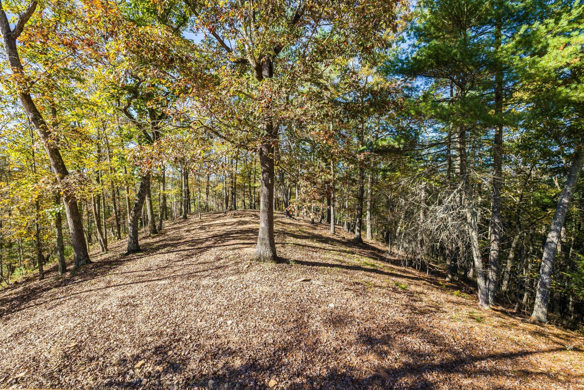 65 Mountain Deer Run - Photo 56