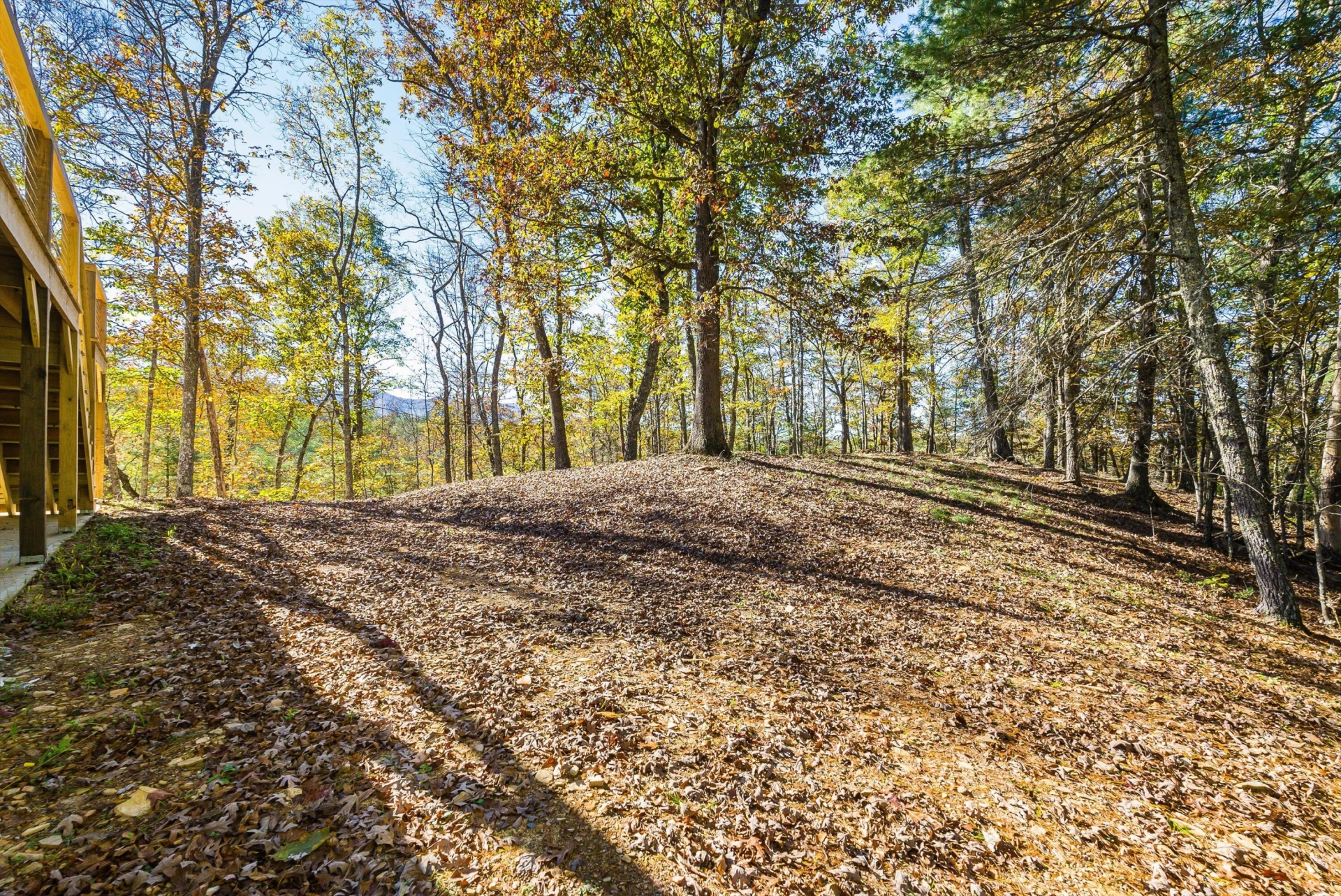 65 Mountain Deer Run - Photo 59