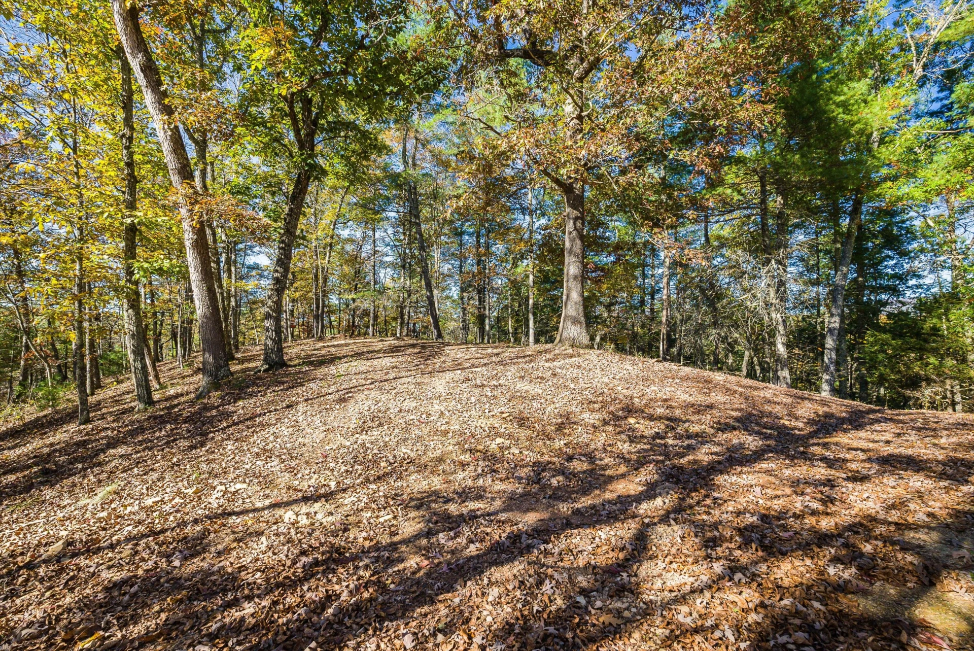 65 Mountain Deer Run - Photo 60