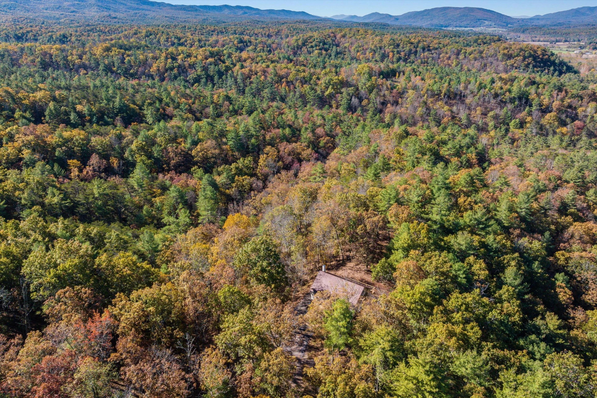 65 Mountain Deer Run - Photo 71