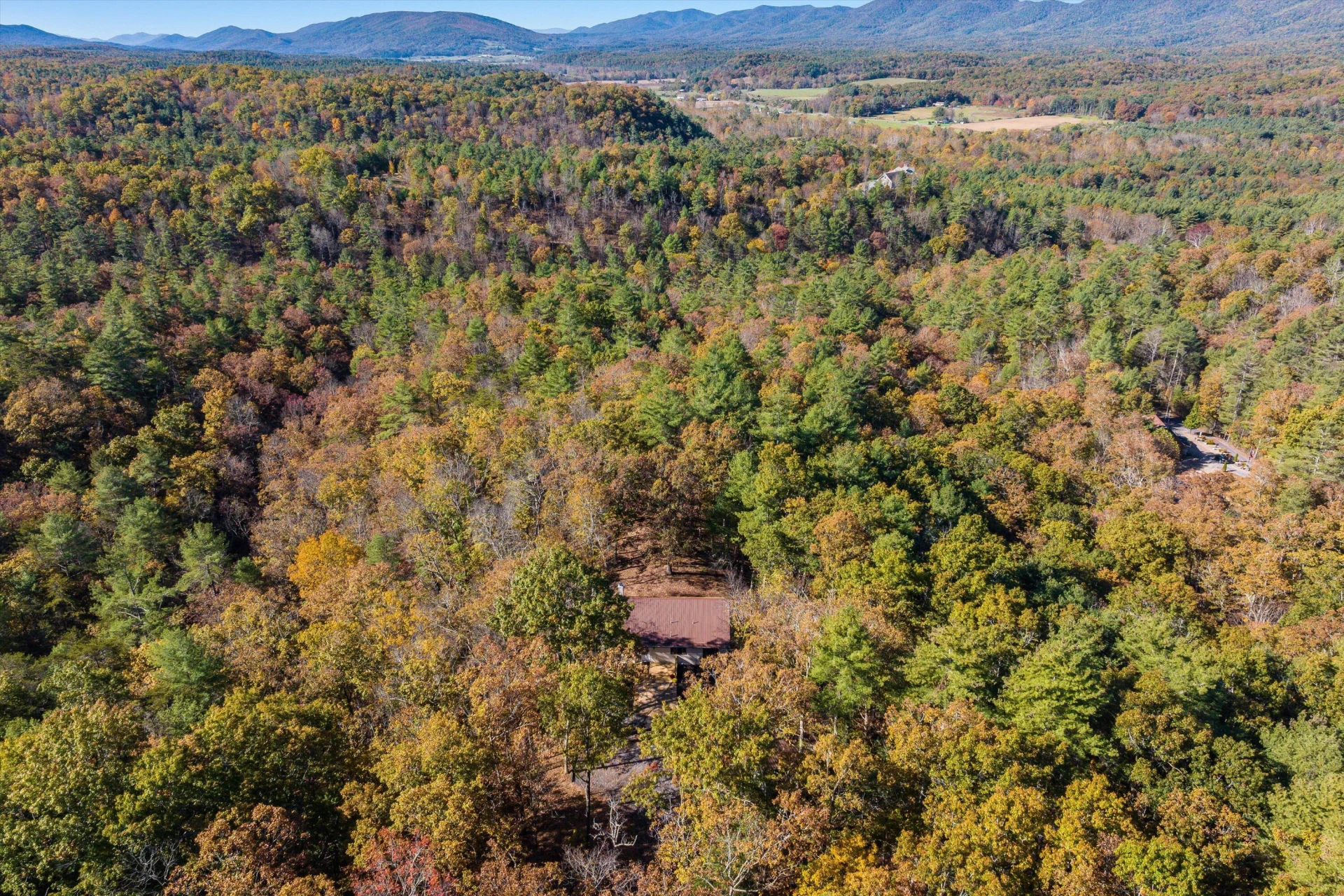 65 Mountain Deer Run - Photo 72