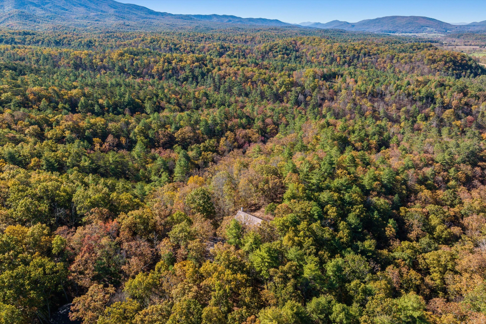 65 Mountain Deer Run - Photo 73
