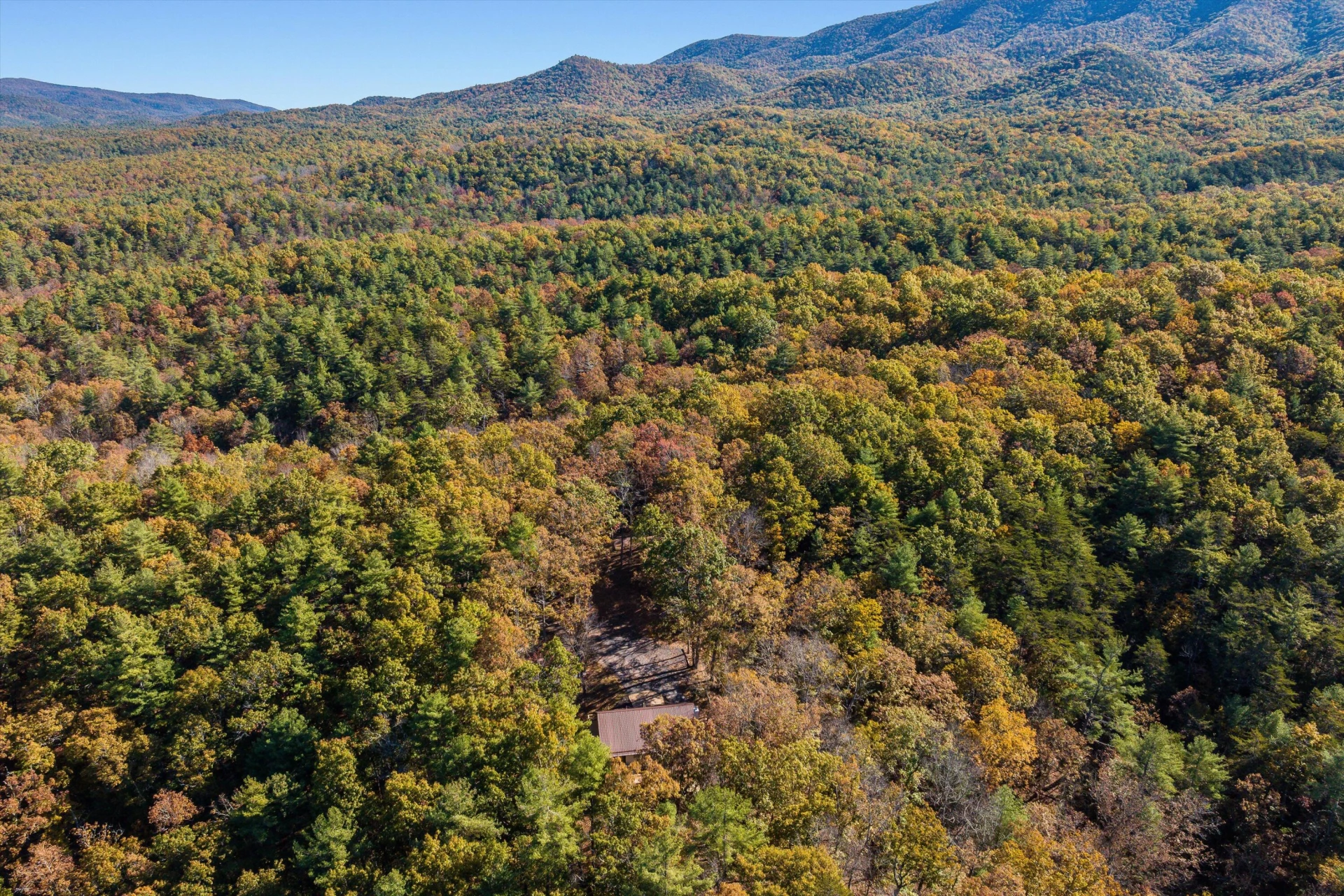 65 Mountain Deer Run - Photo 75