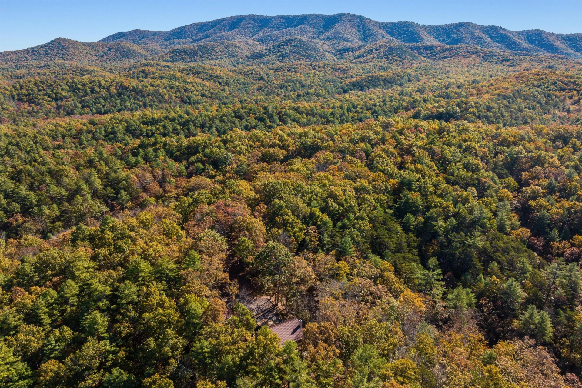 65 Mountain Deer Run - Photo 76