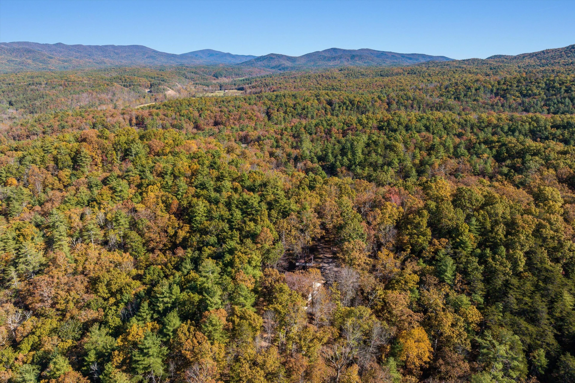 65 Mountain Deer Run - Photo 77