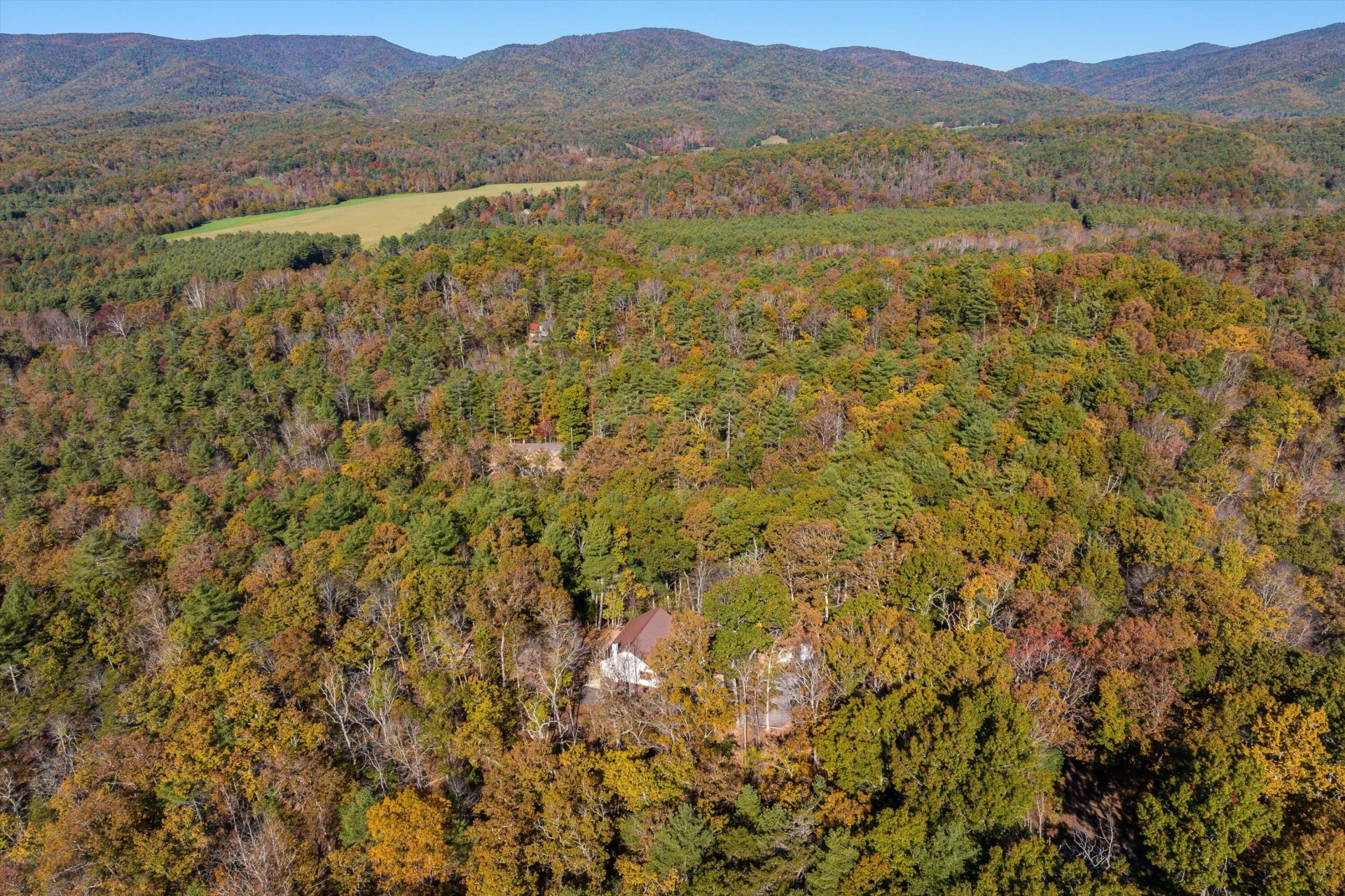 65 Mountain Deer Run - Photo 79