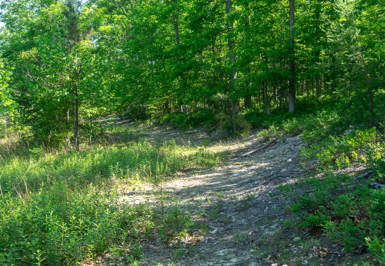 18  Acres Blake Rd - Photo 11