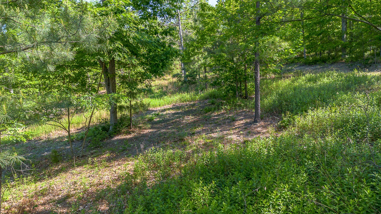 18  Acres Blake Rd - Photo 13