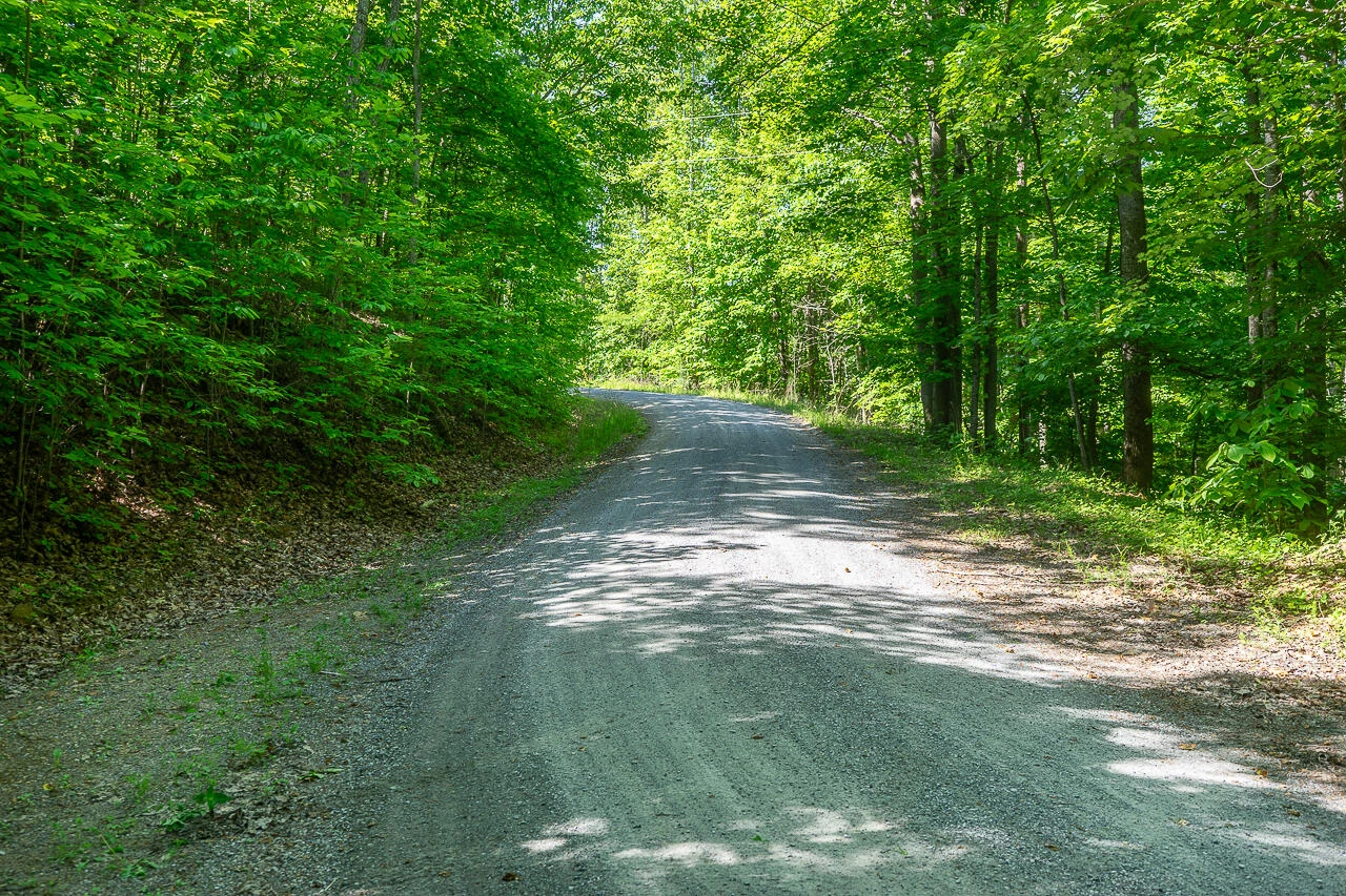 18  Acres Blake Rd - Photo 14