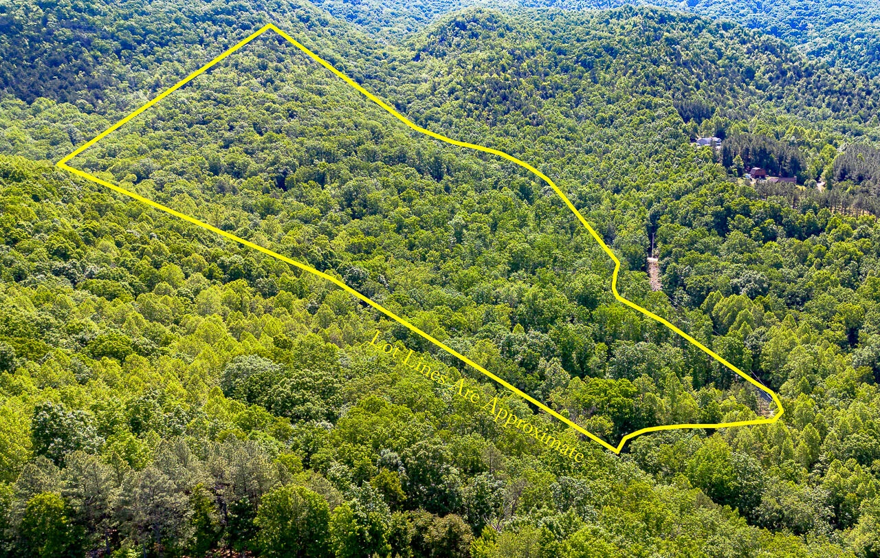 18  Acres Blake Rd - Photo 16