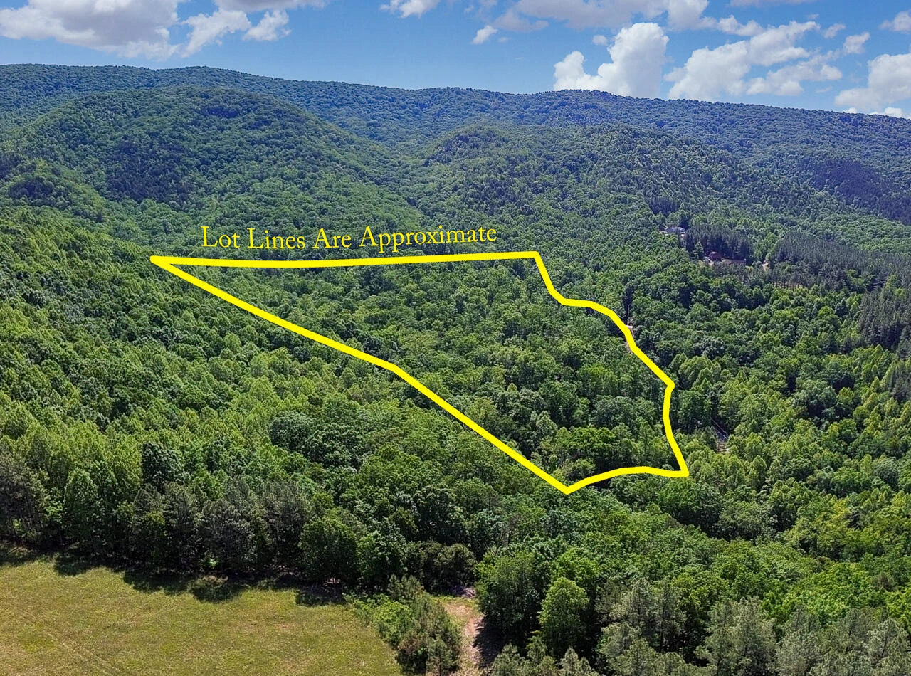 18  Acres Blake Rd - Photo 17