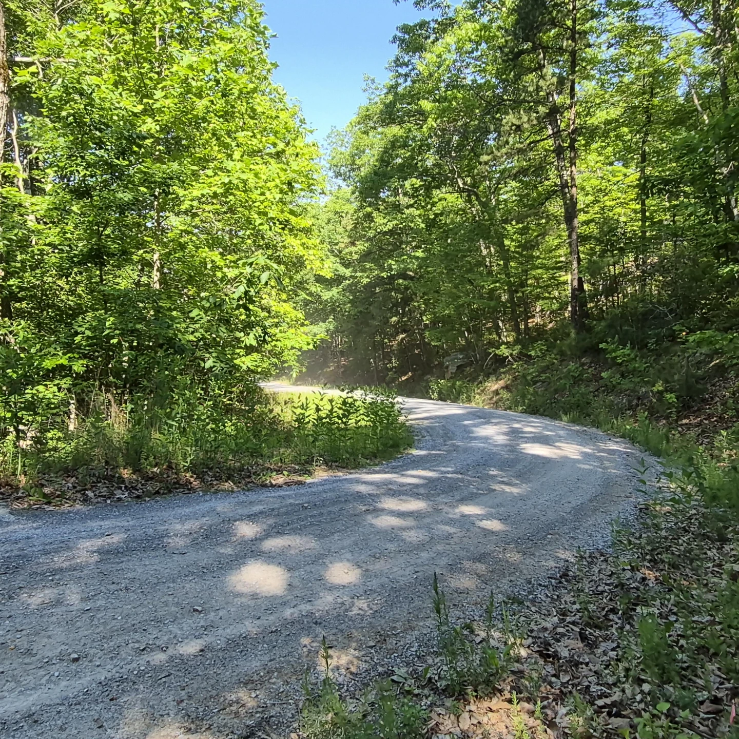 18  Acres Blake Rd - Photo 18