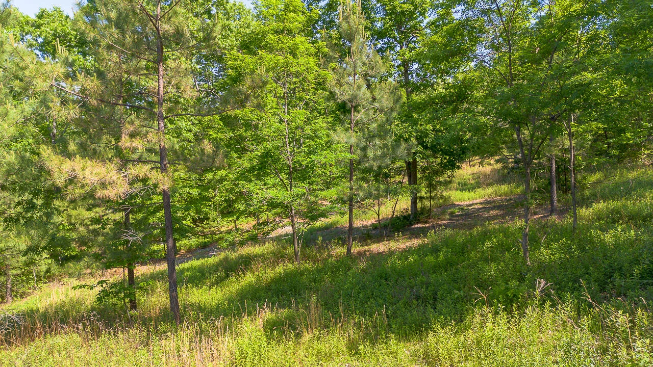 18  Acres Blake Rd - Photo 4