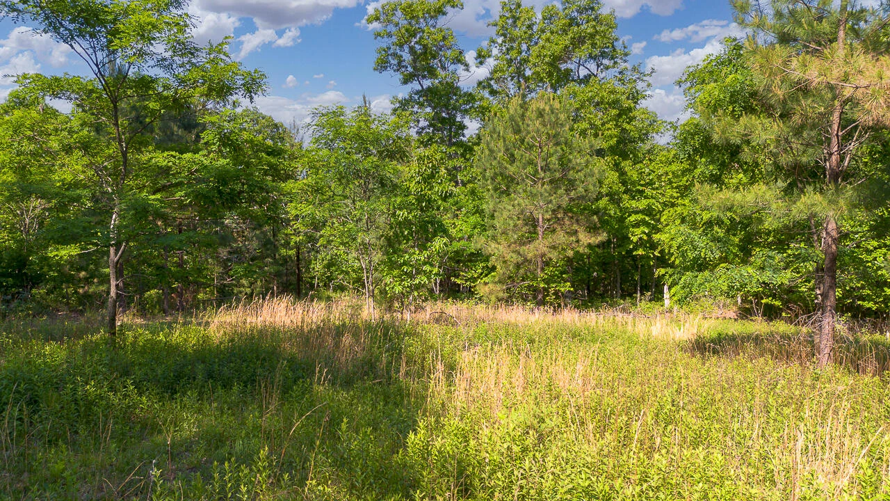 18  Acres Blake Rd - Photo 9