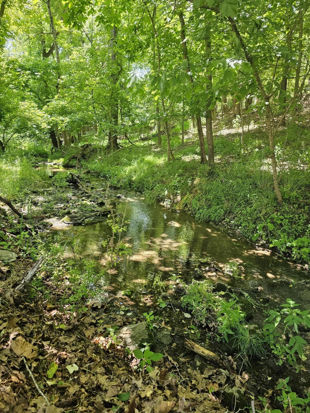 717 Thornhill Rd - Photo 29