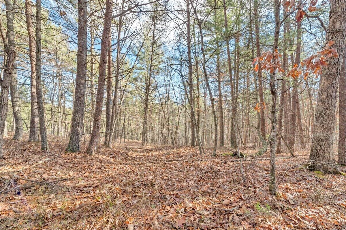 0 Overlook Way - Photo 11