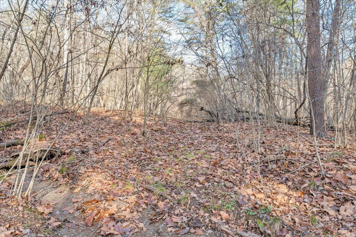 0 Overlook Way - Photo 17