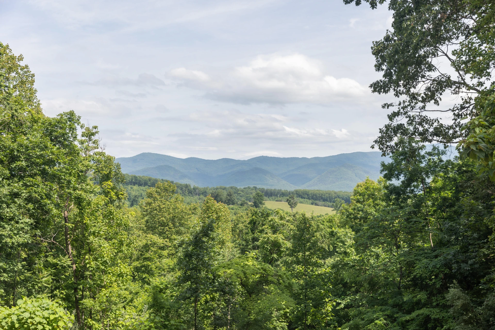 280 Dogwood Rise - Photo 3
