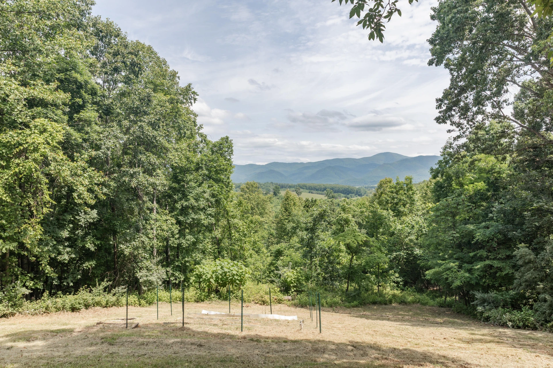 280 Dogwood Rise - Photo 54