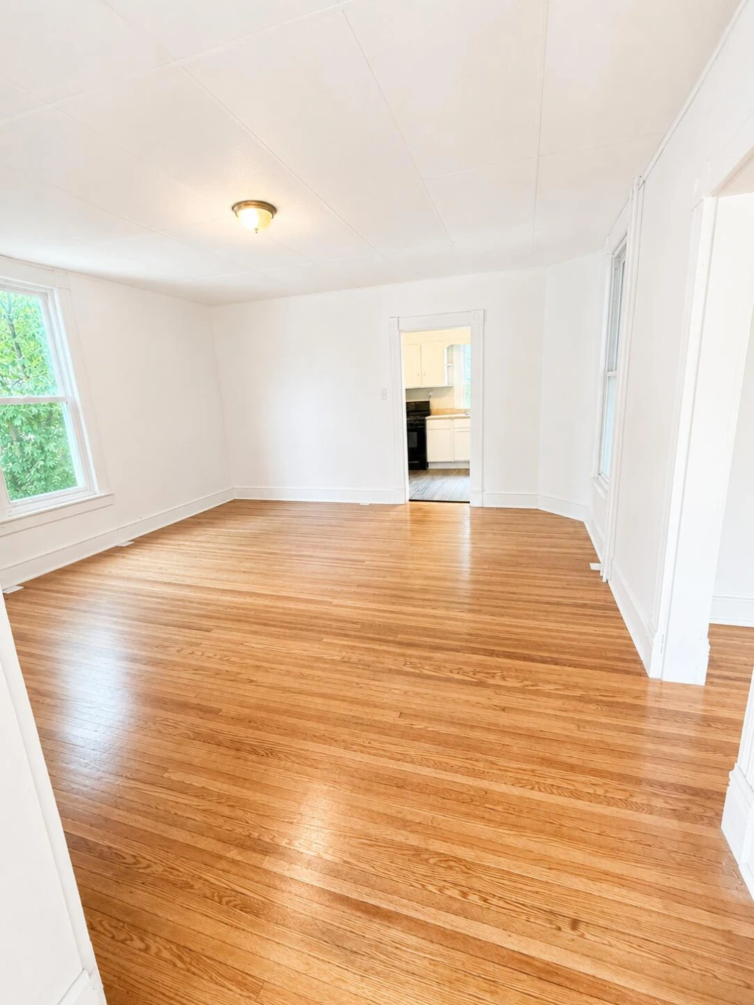 616 Pine St - Photo 5