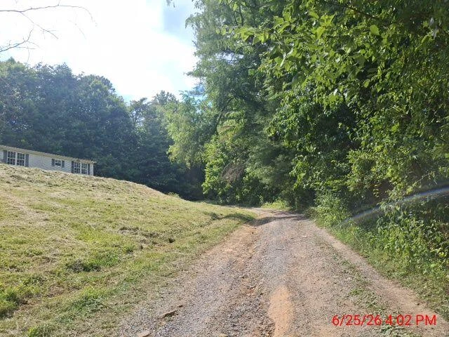 201 MOHLERS LOOP - Photo 5