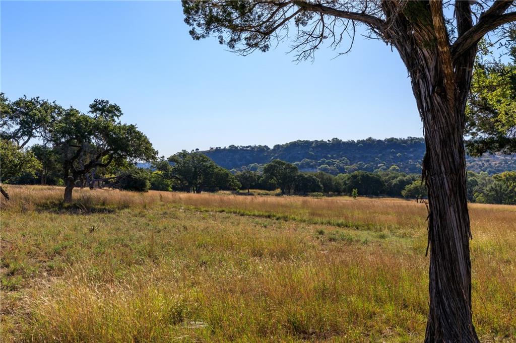 Dripping Springs