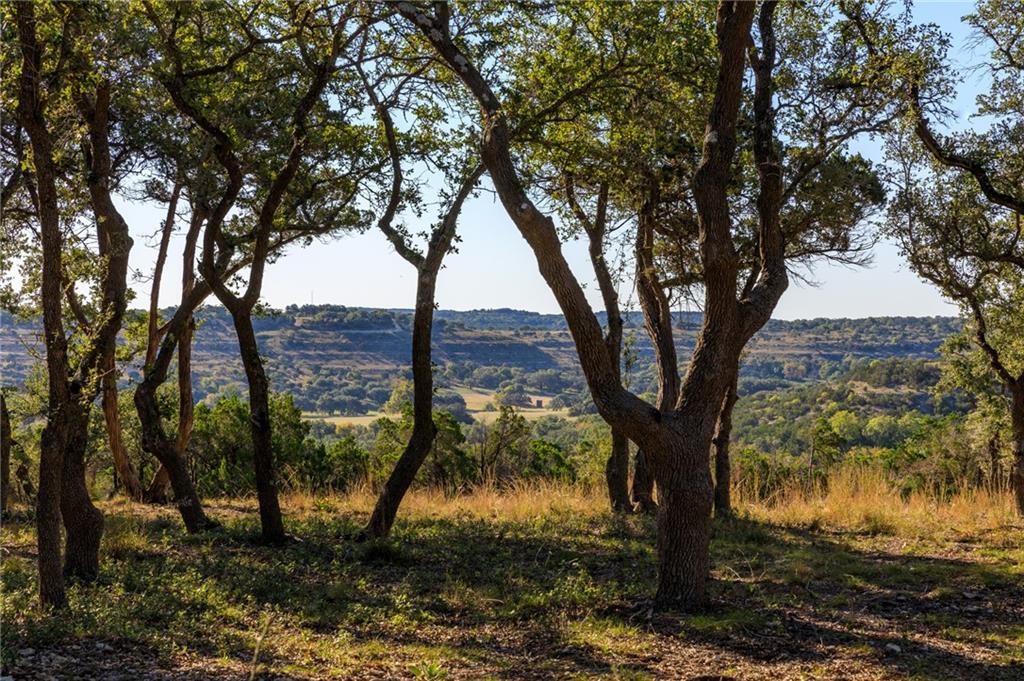 Dripping Springs