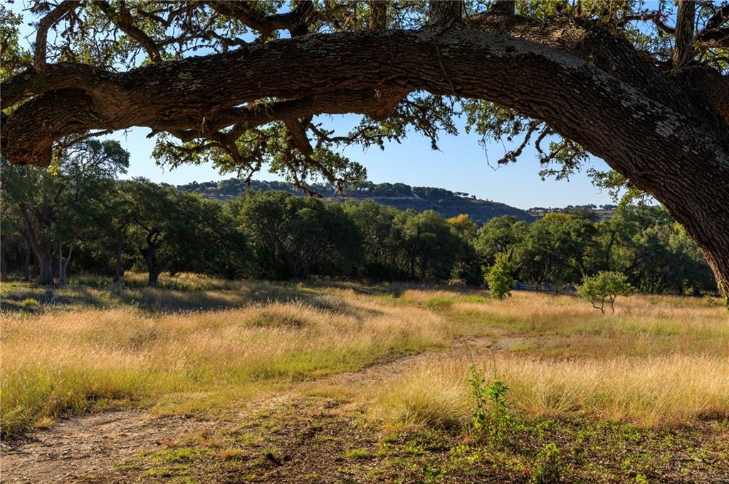 Dripping Springs