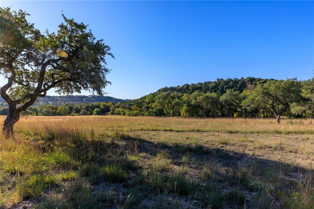 Dripping Springs