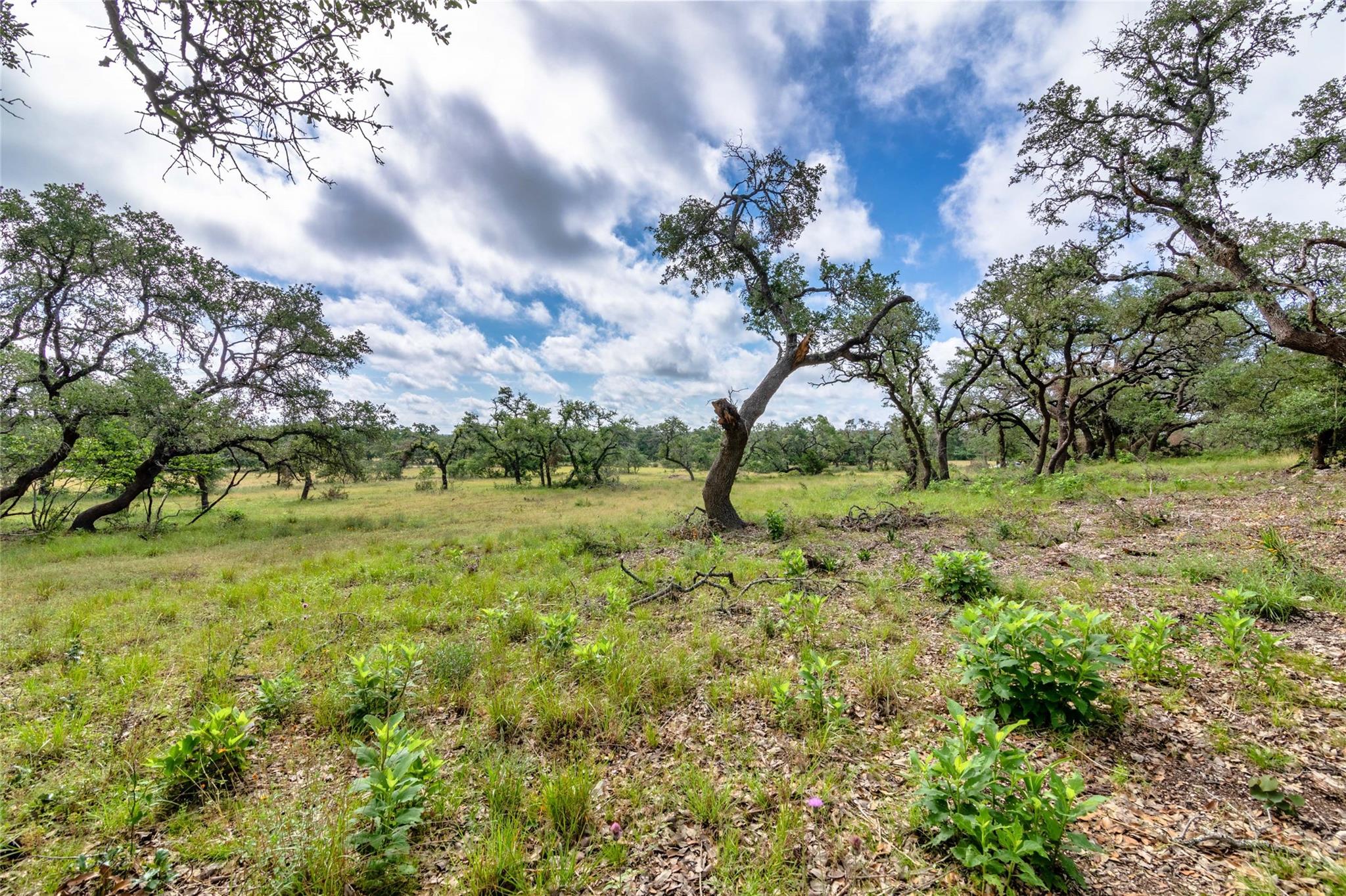 Wimberley
