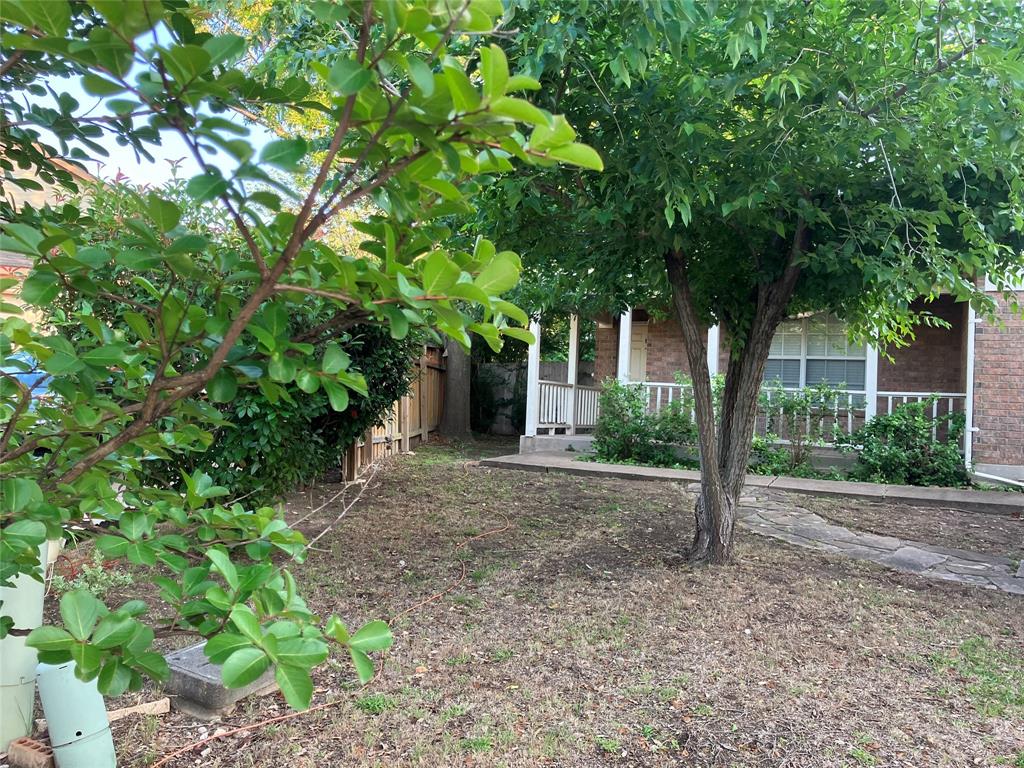 Cedar Park