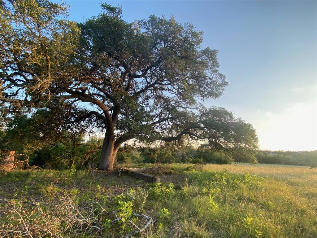 Dripping Springs