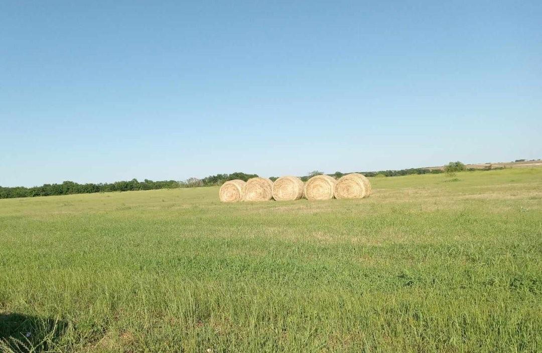 Thorndale