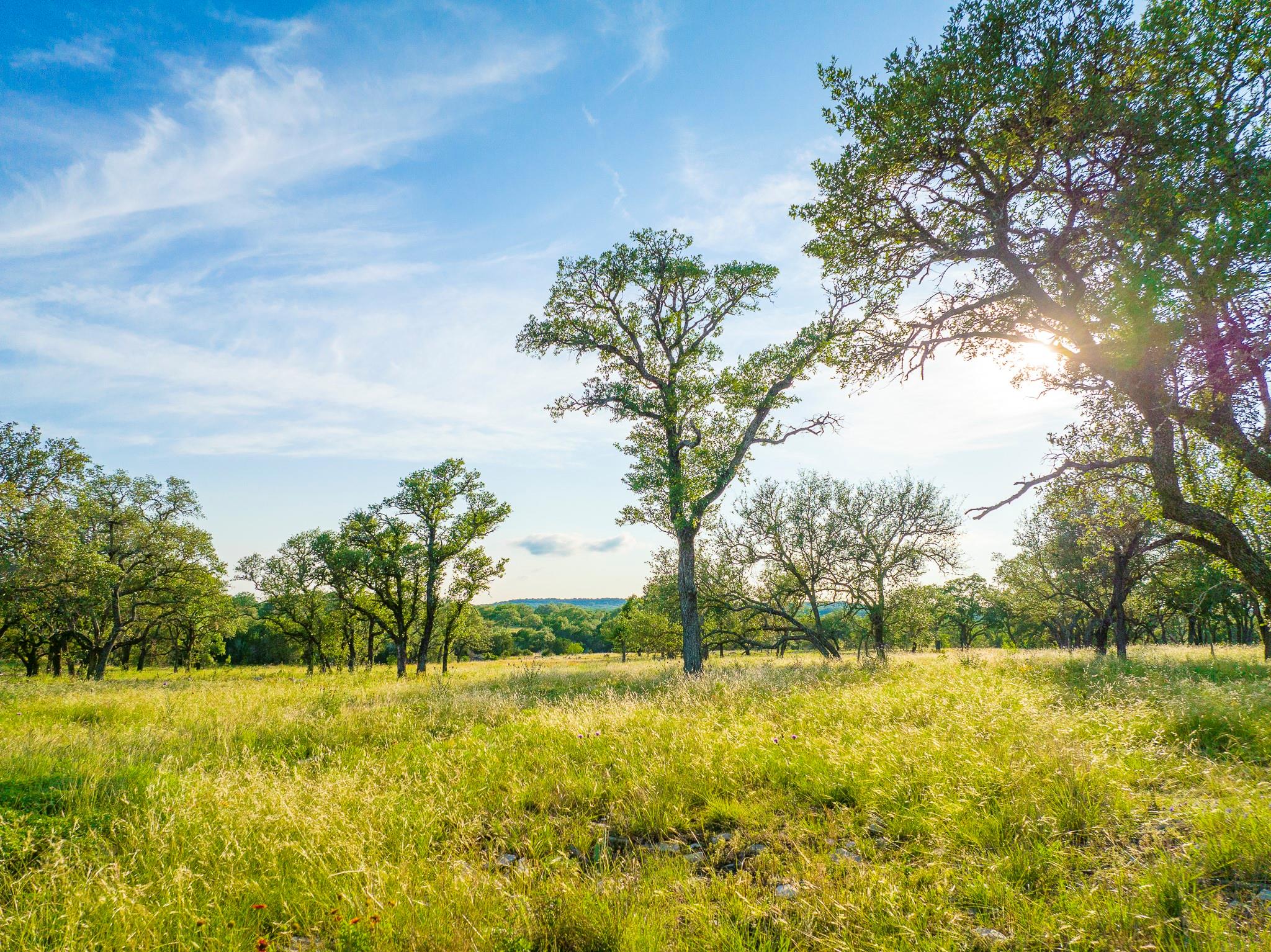 Burnet
