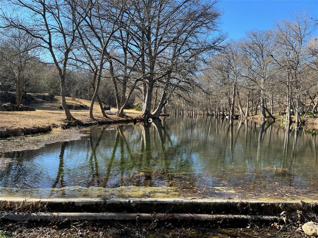 Spring Branch