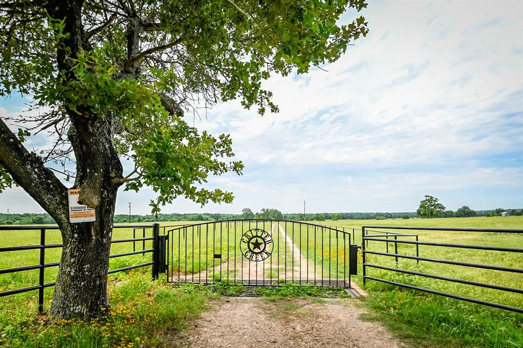 Lexington